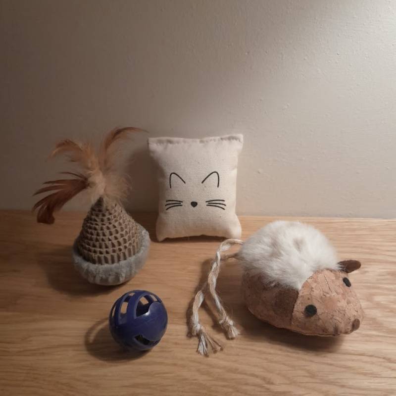 Kattenspeeltjes